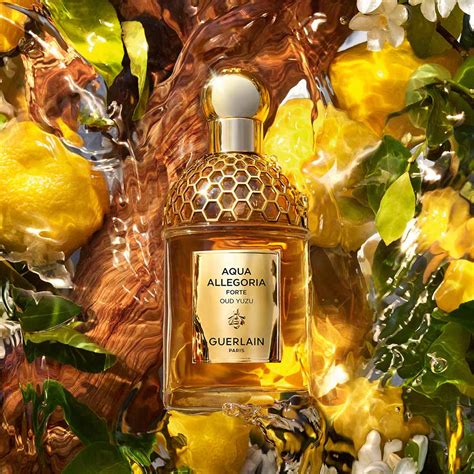 guerlain aqua allegoria yuzu|guerlain aqua allegoria.